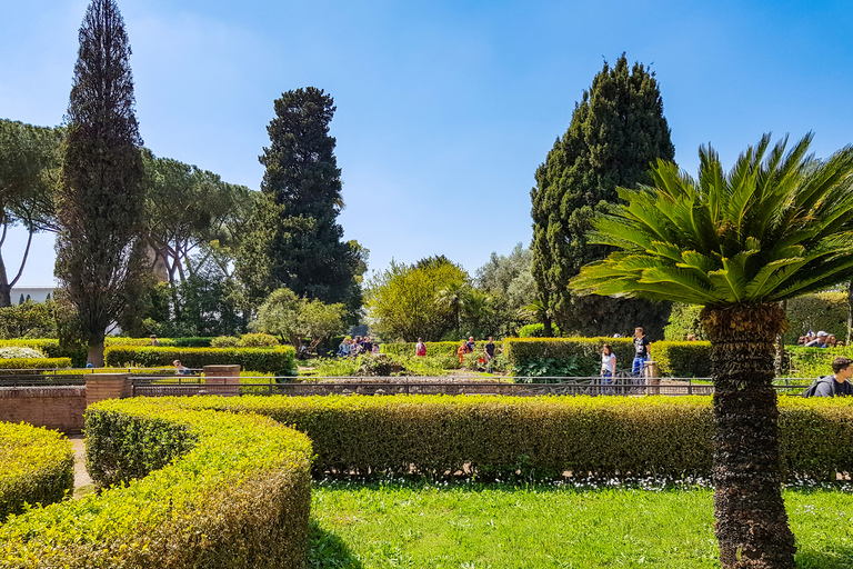 Rome: Colosseum, Roman Forum & Palatine Hill Tour Colosseum, Forum, and Palatine Hill Guided Tour in Italian