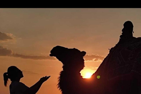 Vanuit Cappadocië: Dagtrip kamelenrit bij zonsopgang of zonsondergang