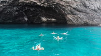 Los Gigantes, baleias e golfinhos assistindo cruzeiro com almoço - Housity