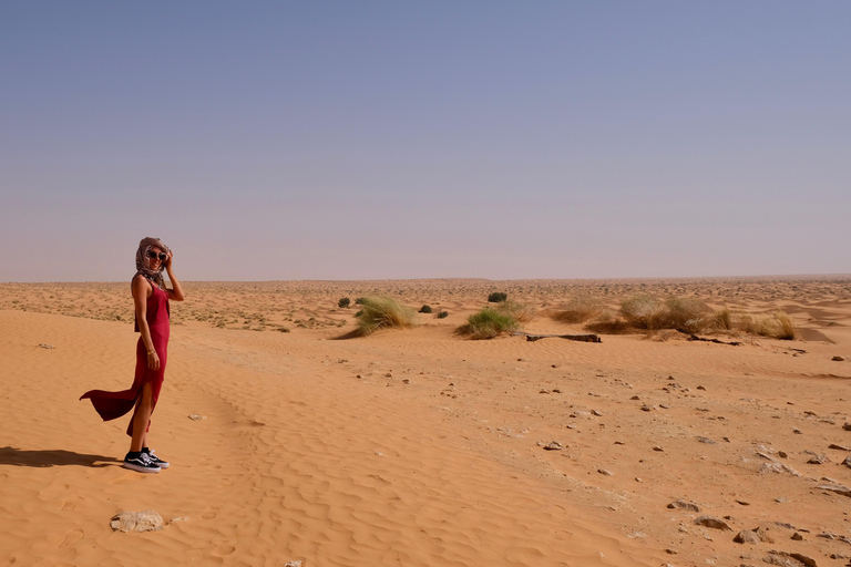 Tour de 1 día combinado por el desierto de Ksar Ghilane y Ksar Jouamaa