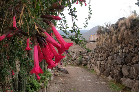 Private 3 day Colca Canyon trekking tour (min 2 people)
