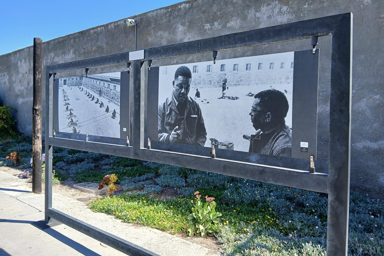 Cape Town: Robben Island Ticket with Ferry & Transfers