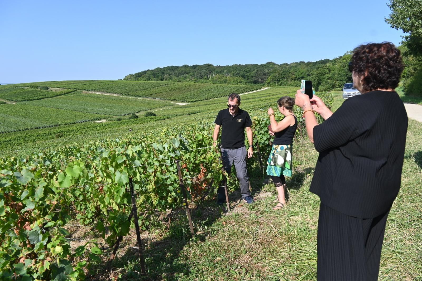 Champagne Domaine Coutant, Entdeckung des Weinbergs und Verkostung