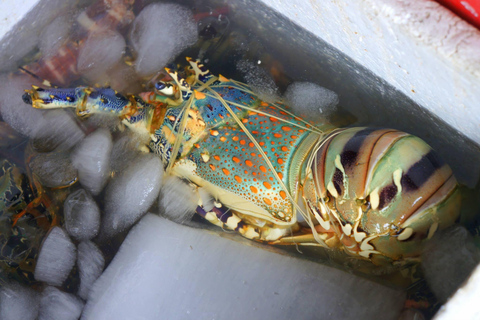 Manila: Community Immersion Tour with hotel pick up & drop