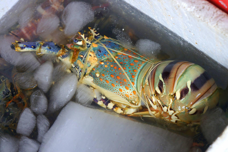 Manila: Community Immersion Tour with hotel pick up & drop