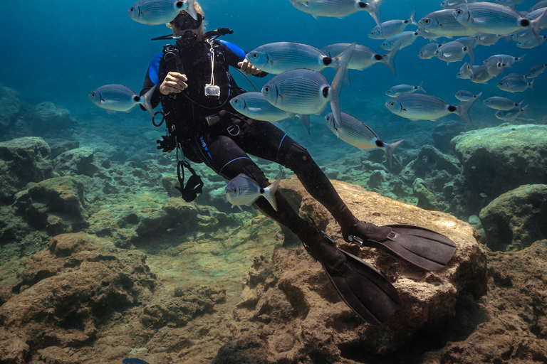 Protaras: Turtle Bay Introduction and Safari Dive Combo