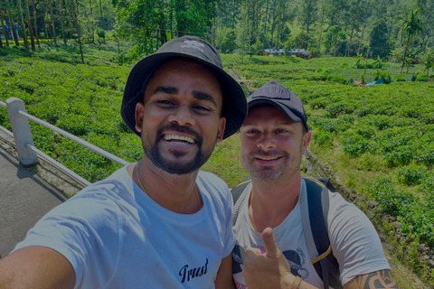 From Kandy to Nuwara Eliya & Moon Plains – Tuk‑Tuk Day Tour From Kandy: Moon Plains Highlands Viewpoint Experience