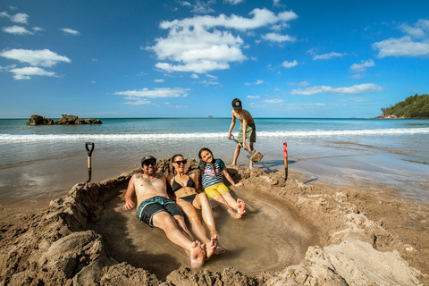 Auckland: Coromandel Beach, grottor och skog privat tur