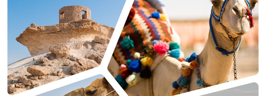 Circuit de course de chameaux de Doha et visite des sculptures du désert de Richard Serra