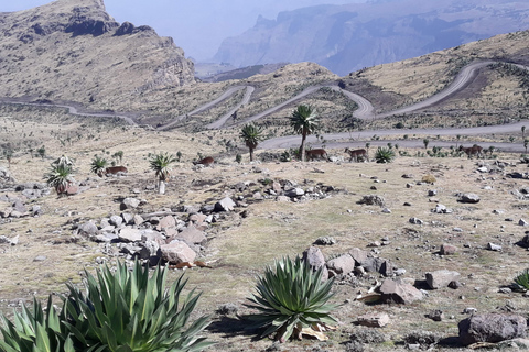 From Gondar: 2-Day Simien Mountains Hiking Adventure