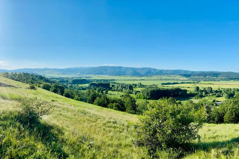 Sofia: The Beauty of the Countryside with a Homemade Lunch