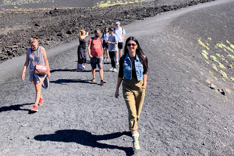 Etna Guided Tour for Cruise passengers (from Catania Port)