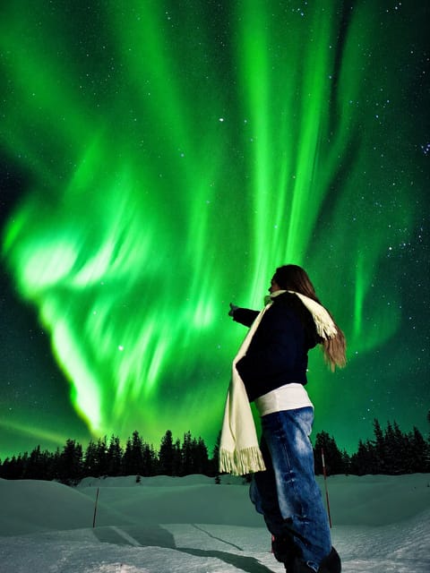 Rovaniemi: Northern Lights Guarantee - 100% Refund + Photos