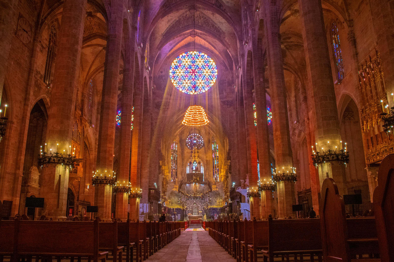 Mallorca: Cathedral tour, views of Bellver Castle, and ensaïmada Shared excursion with a meeting point
