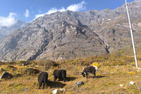 Langtang Valley Trek