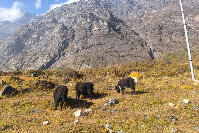 Langtang Valley Trek