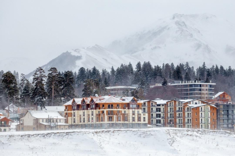 From Tbilisi: Magical Borjomi & Bakuriani with Toboggan Ride