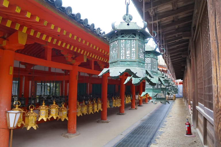 Nara Revealed: Ancient Temples, Sacred Deer & Local Stories