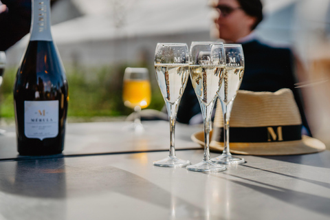 Boat trip & wine tour in Bruges