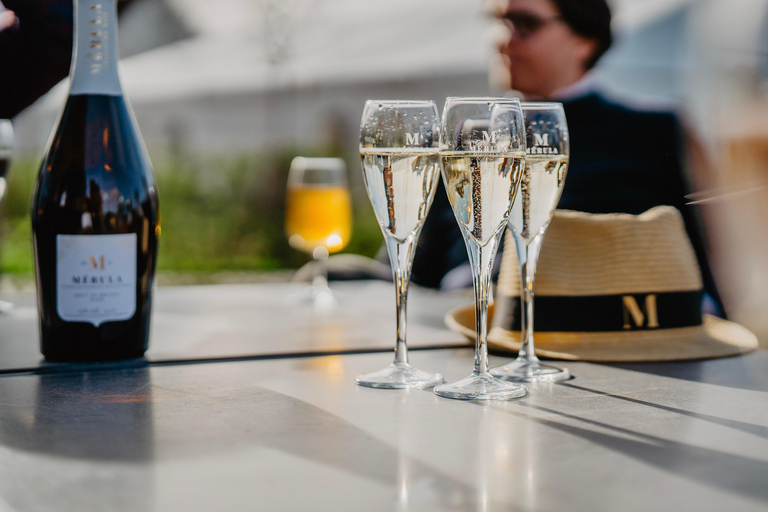 Boat trip & wine tour in Bruges