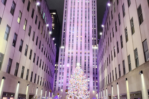 NYC: Christmas Lights Horse Carriage Ride