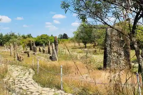 From Addis Ababa: Melka Kunture, Adadi Maryam & Tiya Tour