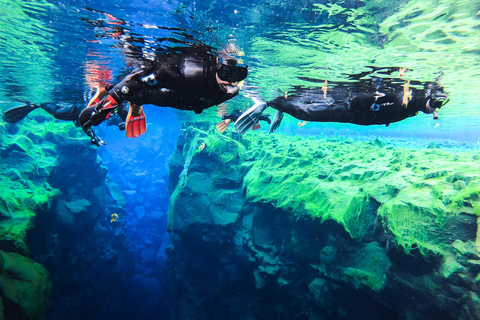 De kloof van Silfra: snorkelavontuur in kleine groepVanuit Þingvellir: rijd zelf naar trefpunt, zonder ophalen