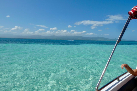 Guadeloupe: Discover the Grand Cul Sac Marin Nature Reserve Daytime boat tour of the Grand Cul Sac Marin Nature Reserve