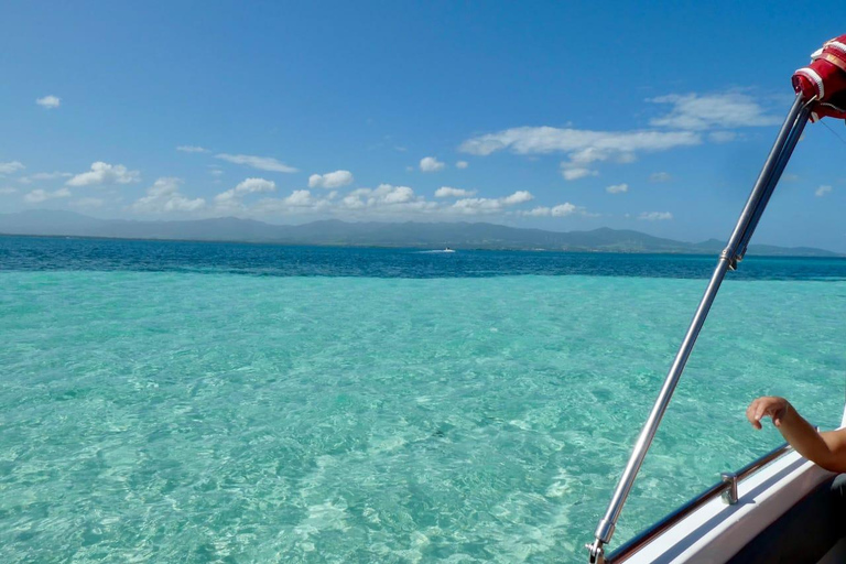 Guadeloupe: Discover the Grand Cul Sac Marin Nature Reserve Daytime boat tour of the Grand Cul Sac Marin Nature Reserve