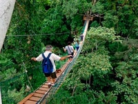 Puerto Maldonado, Sandoval & Parrot Clay Lick 3-Days - Housity