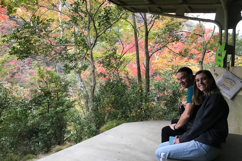 Marche dans la forêt de Mino à Osaka et chute d&#039;eau géante avec déjeuner local