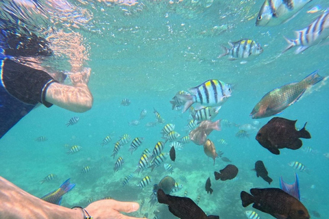 Zanzibar: Private Blue Lagoon & Starfish Snorkeling Tour Private Tour No Hotel pick up and drop-off