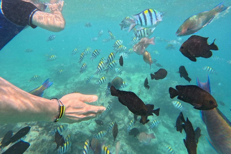 Zanzibar: Private Blue Lagoon & Starfish Snorkeling Tour Private Tour No Hotel pick up and drop-off