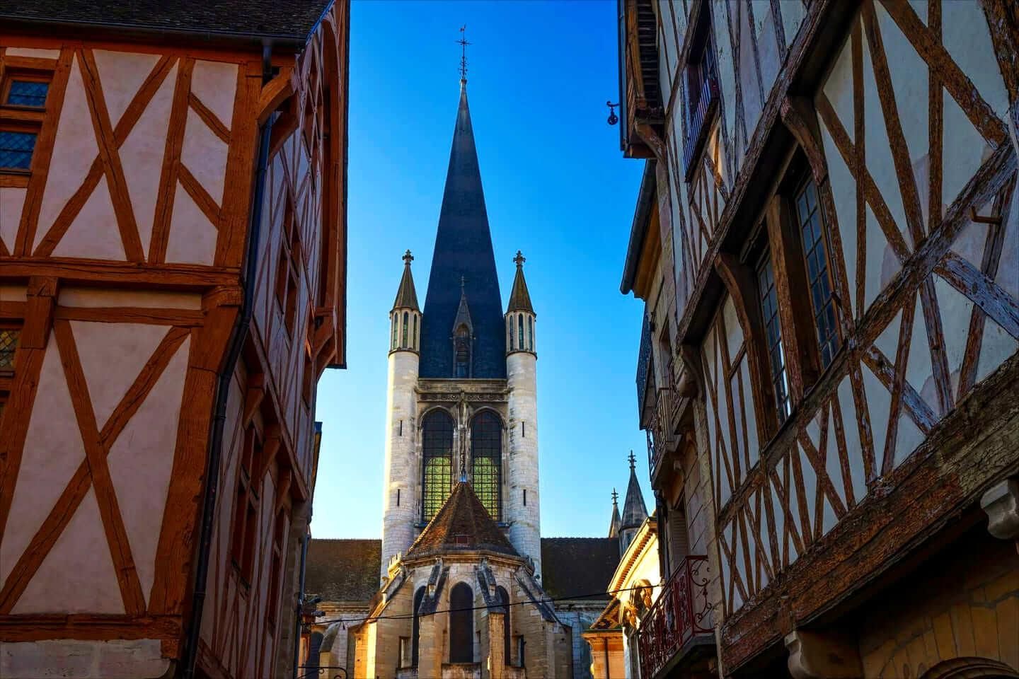 Hallo Dijon: Privater, 2-stündiger Stadtrundgang mit ortskundigem Guide