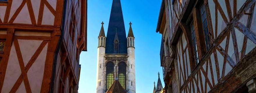 Dijon : visite privée de 2 heures avec un guide de la région