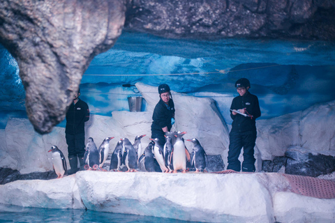 بانكوك: تذكرة دخول سي لايف بانكوك ومتحف مدام توسوتواريخ الذروة في نفس اليوم