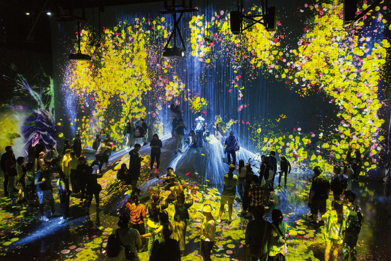 Tokyo Night Tour: teamLab Planets & Tsukishima Monja Walk