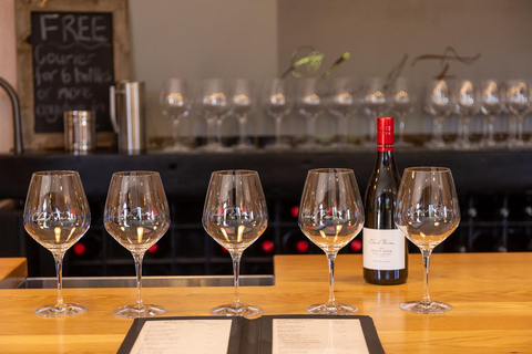 Queenstown: Premium Wine Tasting Tour