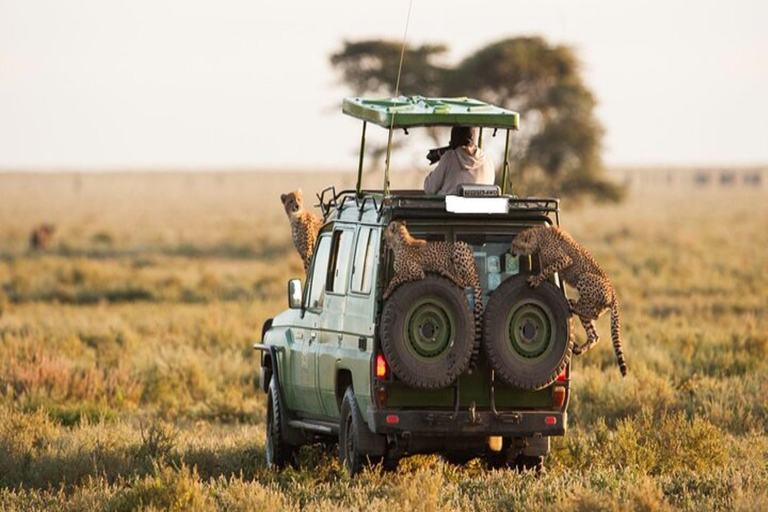 Nairobi: 2-dniowe safari na ranczu Solio z zakwaterowaniem