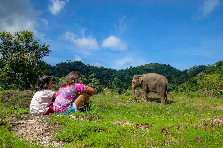 Phuket : Visite à pied et nourrissage au parc naturel des éléphants éthiques