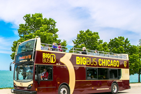 Chicago: Crucero por el río de la Arquitectura y tour con autobús libres