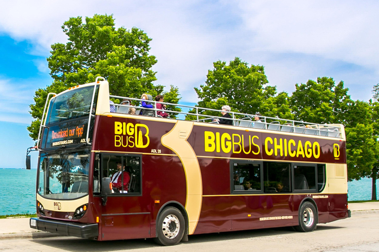 Chicago: Architecture River Cruise &amp; Hop-On/Hop-Off-Bustour