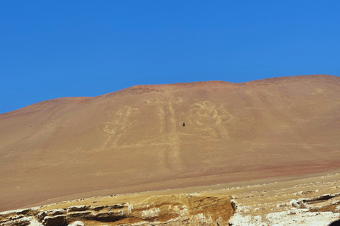 Lima : visite des îles Ballestas, des lignes de Nazca et de Huacachina