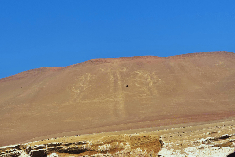 Lima: Tour pelas Ilhas Ballestas, Linhas de Nazca e Huacachina