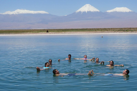 Desierto de Atacama: Refrescante Flotación en Laguna Cejar y Puesta de Sol