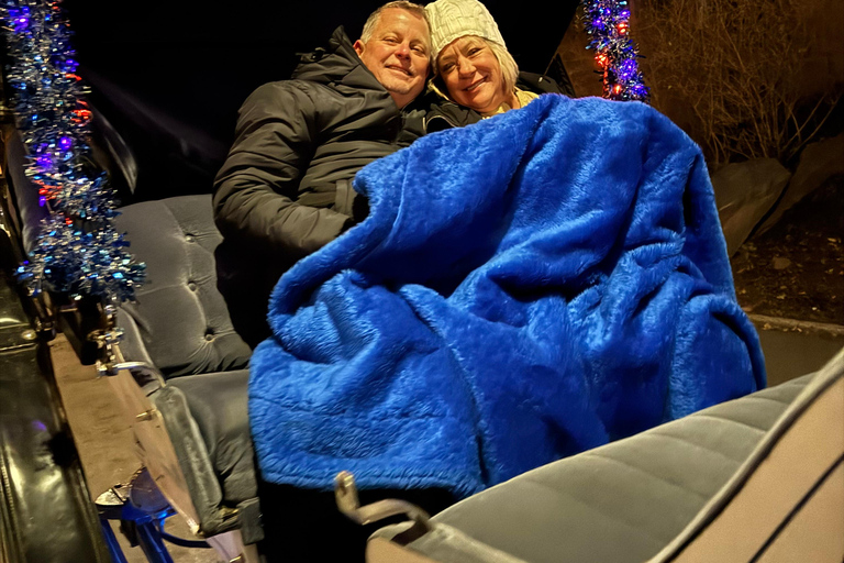 NYC: Central Park Christmas Lights Horse-Drawn Carriage Ride