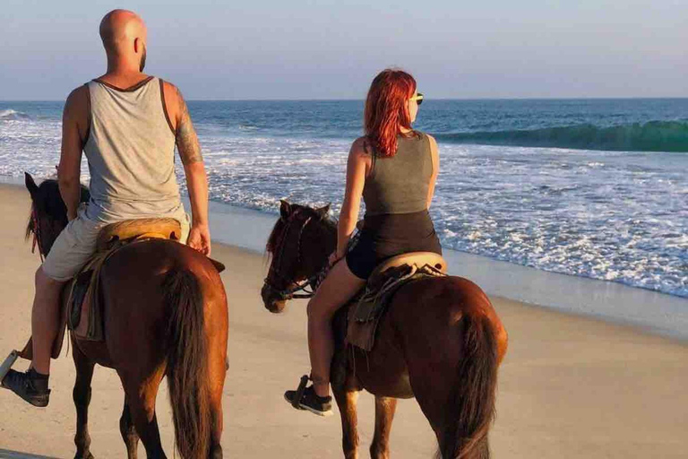From Huatulco: Beach Horseback Riding Experience Regular Beach Horseback Riding Tour (2 hours)