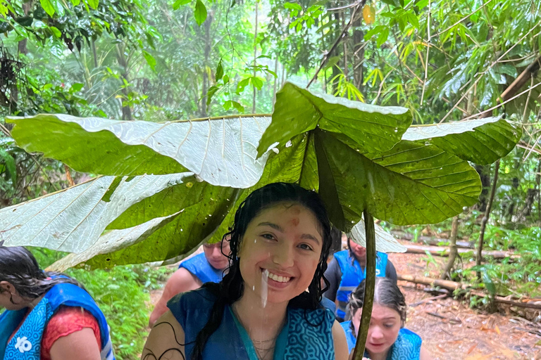 San Juan : Aventure sur le toboggan aquatique d'El Yunque avec transport