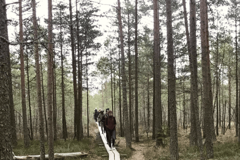 The Estonian Day Retreat at Lahemaa National Park
