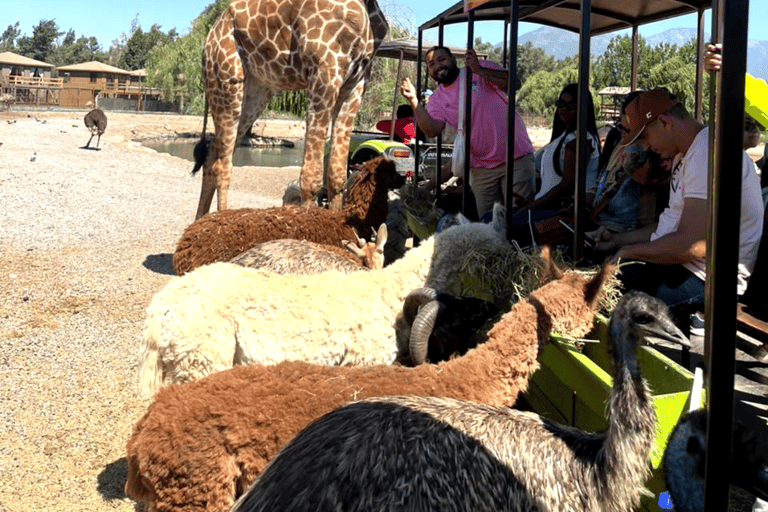 Santiago: Safari Rancagua Tour